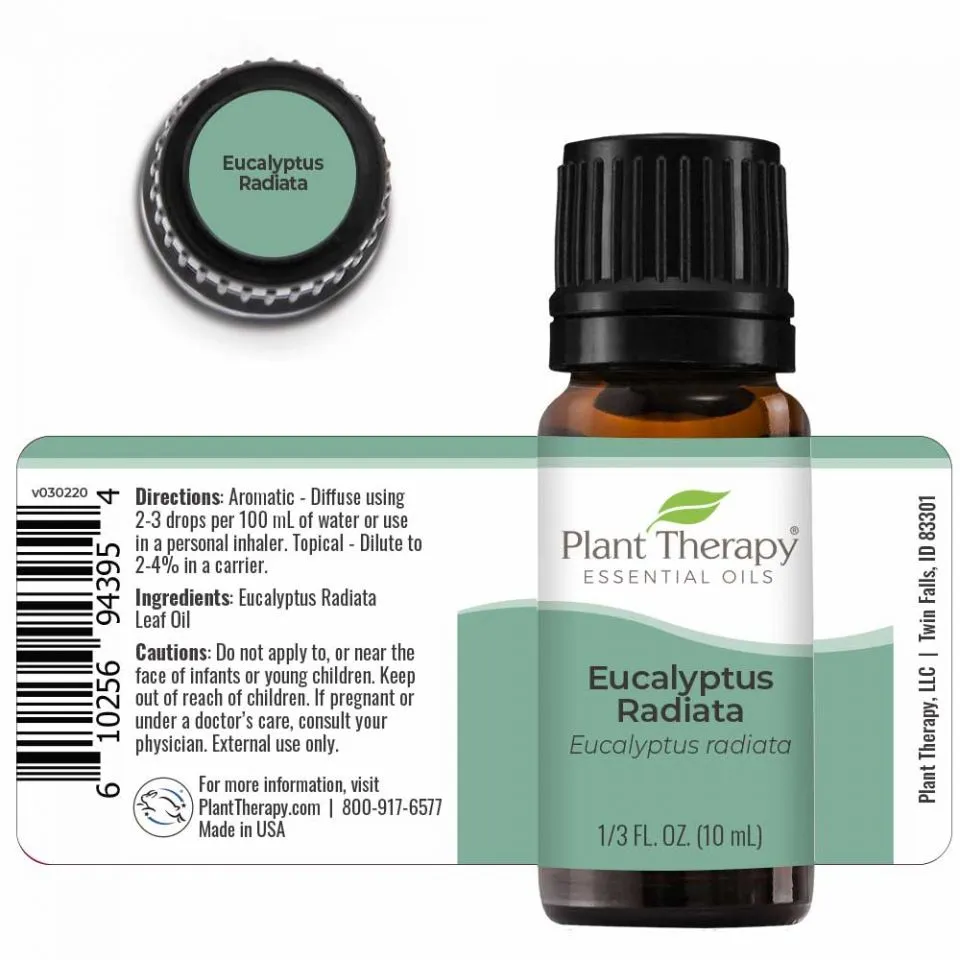 Plant Therapy Eucalyptus Radiata Essential Oil