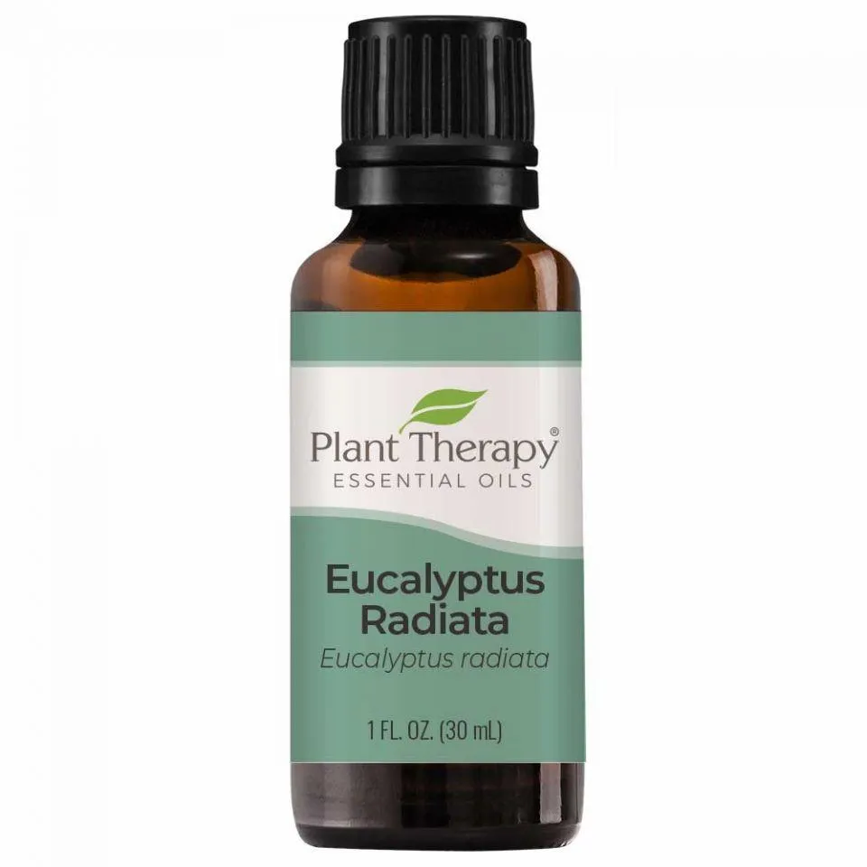 Plant Therapy Eucalyptus Radiata Essential Oil