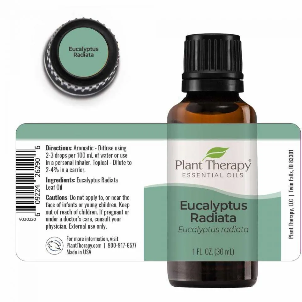 Plant Therapy Eucalyptus Radiata Essential Oil