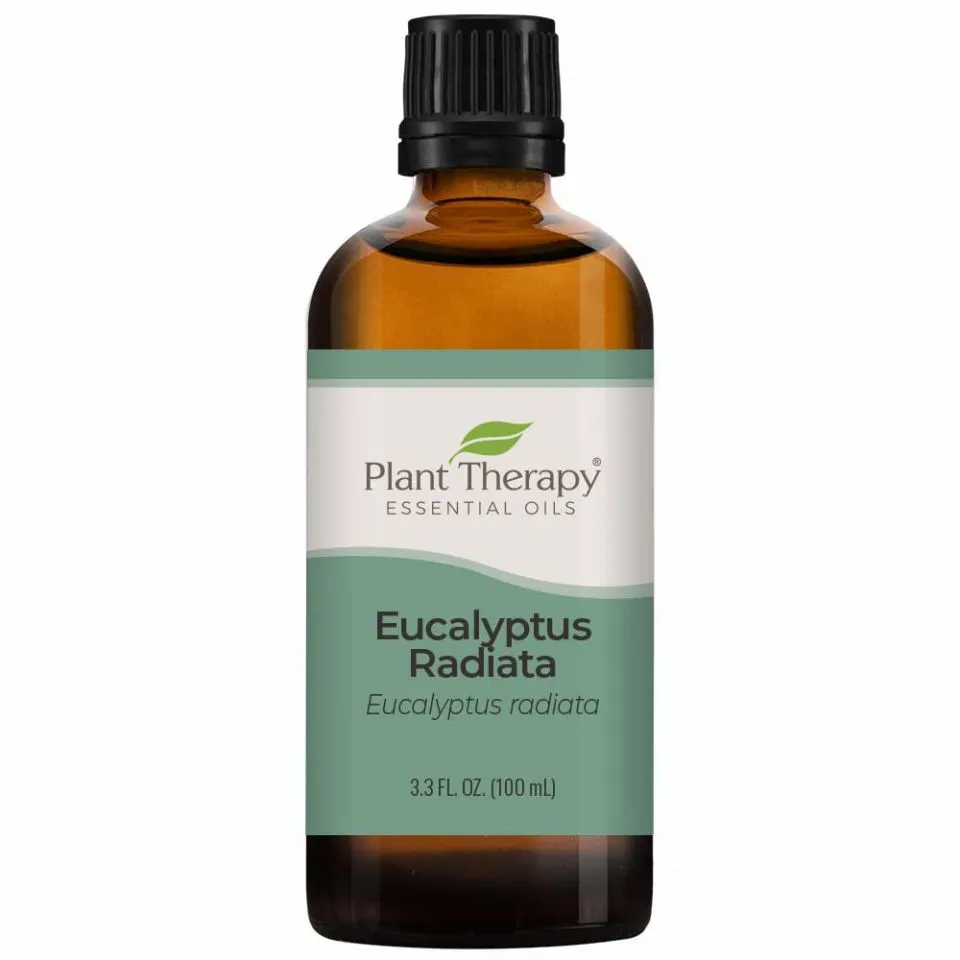 Plant Therapy Eucalyptus Radiata Essential Oil