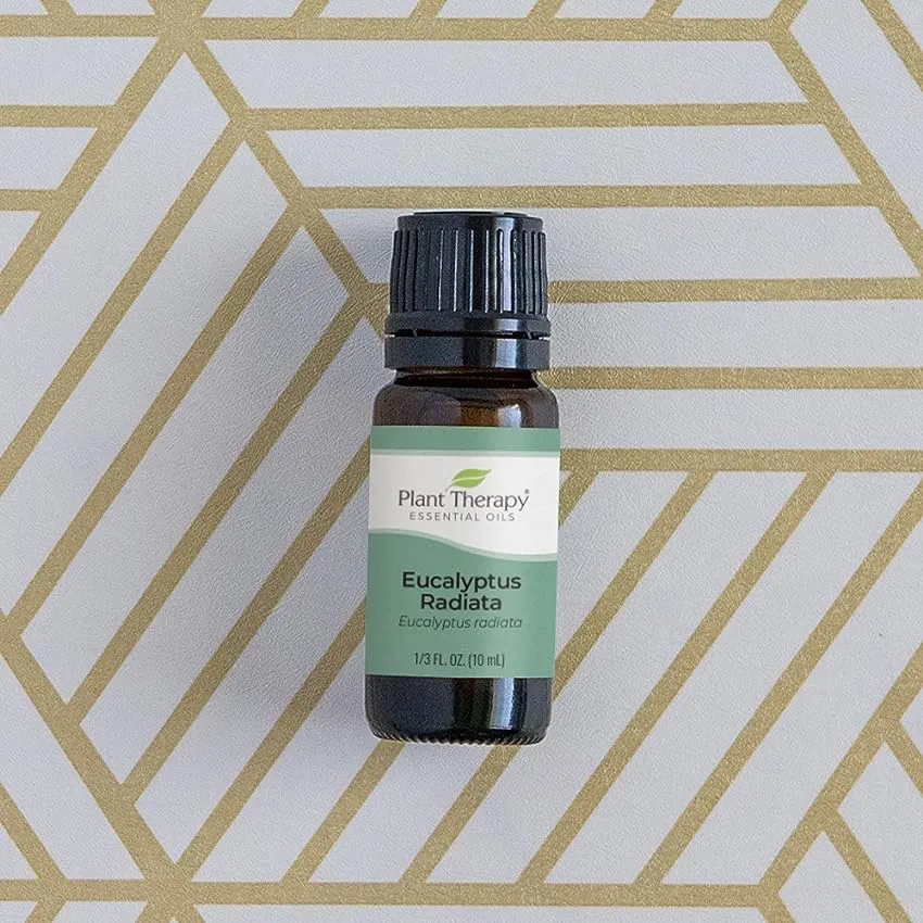 Plant Therapy Eucalyptus Radiata Essential Oil