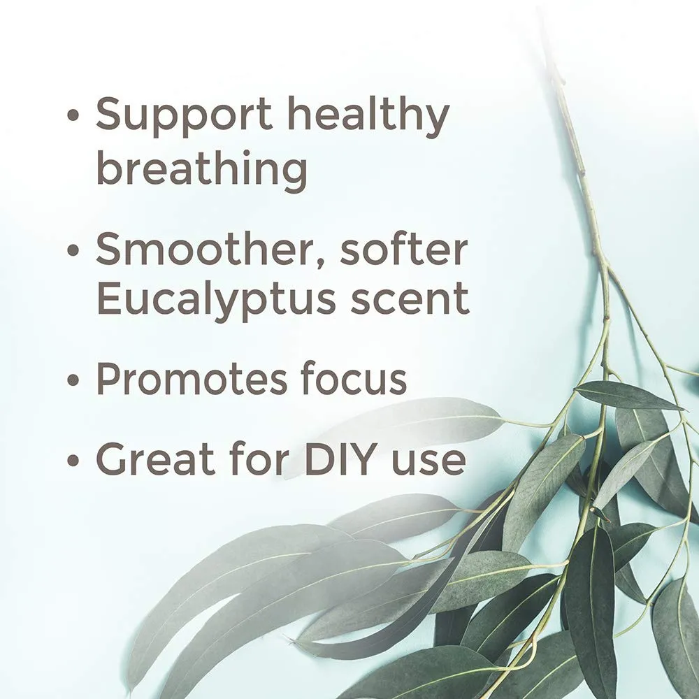 Plant Therapy Eucalyptus Radiata Essential Oil